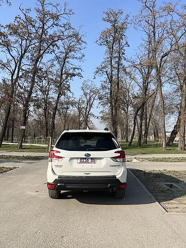 Subaru: Subaru Forester: 2020 г., 2.5 л, Вариатор, Бензин, Кроссовер — 6