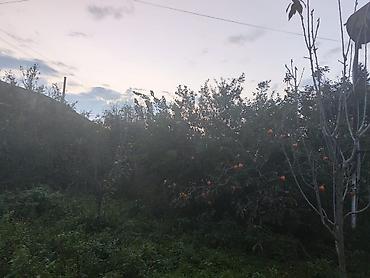 zig kirayə ev: 7 otaqlı, 150 kv. m, Təmirsiz — 7