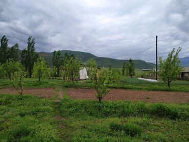 Продажа участков: 120 соток, Для сельского хозяйства, Красная книга — 14