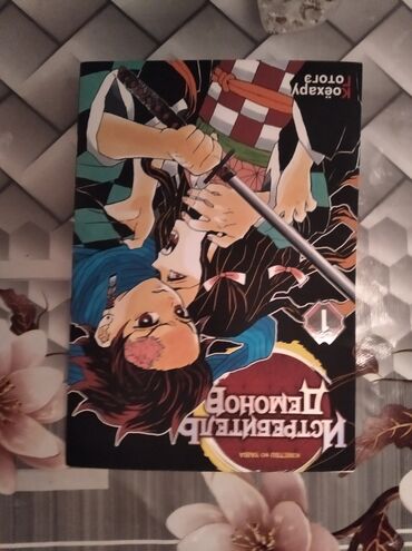читать книгу гравити фолз дневник 1: Манга «Истребитель демонов» (Kimetsu no Yaiba), Том 1, на русском
