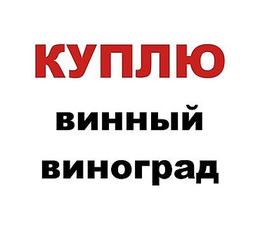 винограды: Виноград Самовывоз — 1