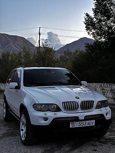 блок е34: BMW X5: 2004 г., 4.4 л, Автомат, Бензин, Кроссовер — 1