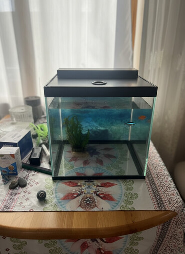 Akvariumlar: Akvaryum dəsti 1 akvaryum tezedi qalan herwey iwlenmiwdi ekseryeti az — 3
