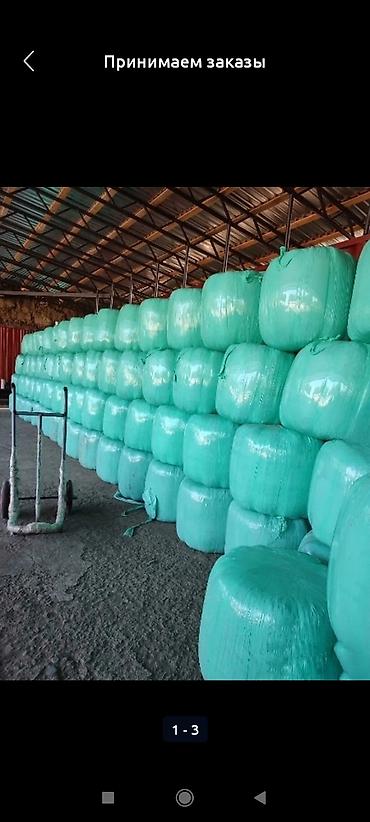 Корма для с/х животных: Продается силос в брикетах 8 кг at lalafo.kg — 4 Корма для с/х животных: Продается силос в брикетах 8 кг — 4