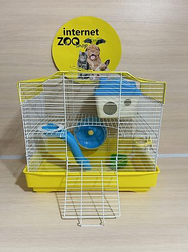 Хомяки: Продаются хомячки джунгарские, сирийские, ангорские пушистые хомячки — 22