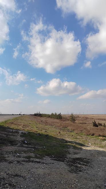 Torpaq sahələrinin satışı: Biznes üçün — 7