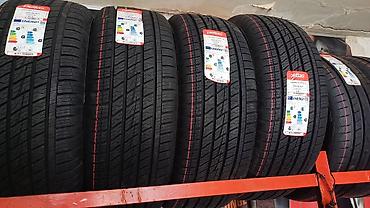 toyoto pikap: Petlas Explero A/S PT411 yay/all-season şinləri - Ölçü: 265/65 R17 - — 3