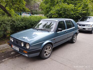 volkswagen 1991: Volkswagen Golf: 1989 г., 1.8 л, Механика, Бензин, Хэтчбэк