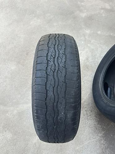 aeolus e70: Пара летних шин Bridgestone 225/65 R17 101H. - Диаметр: R17 - Ширина — 2