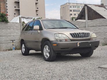 Lexus: Lexus RX: 2001 г., 3 л, Автомат, Бензин, Внедорожник