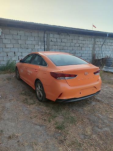 бант для машины: Hyundai Sonata: 2020 г., 2 л, Автомат, Газ, Седан — 3