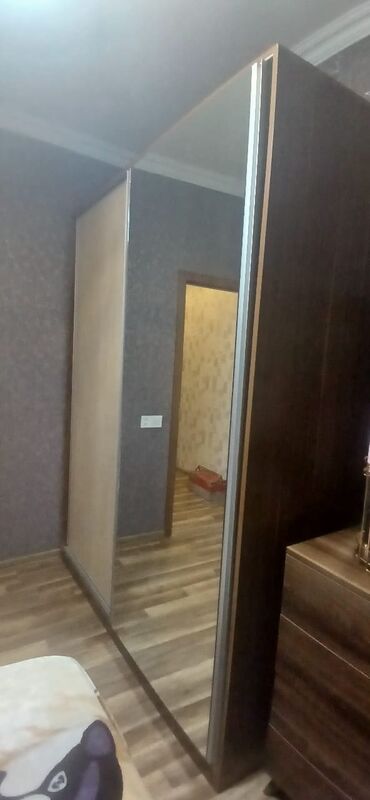 şkaflı ütü stolu: İşlənmiş, Kupe, 2 qapılı Düz dolab, Qarderob, paltar dolabı