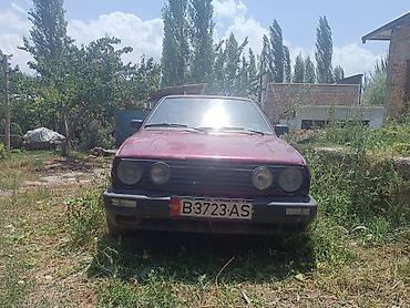 краски на авто: Volkswagen Golf: 1993 г., 1.6 л, Механика, Бензин, Хэтчбэк — 3