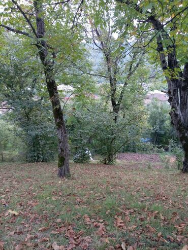 Torpaq sahələrinin satışı: 15 sot, Mülkiyyətçi, Kupça (Çıxarış), Texniki pasport — 7