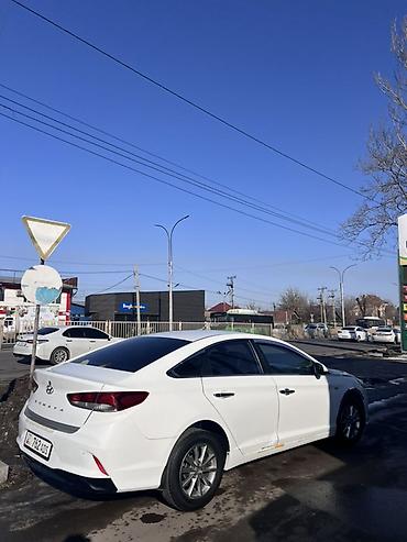 Hyundai: Hyundai Sonata: 2019 г., 2 л, Автомат, Бензин, Седан — 1