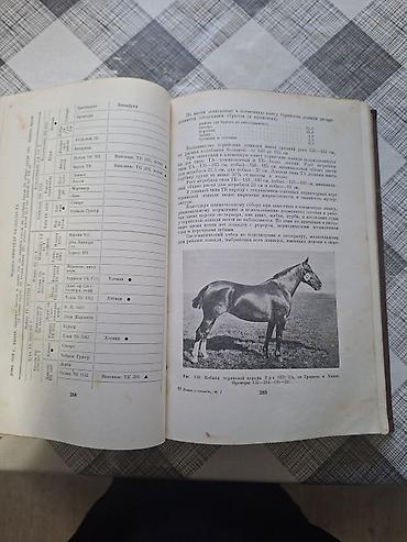 Другие книги и журналы: Продаю редкую книгу про лощадей разных стран. Тираж-25тыс .экз. Год — 9