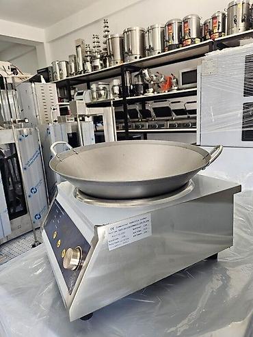 pelet soba: İndeksion plitə Bir gözlü induction plitə Obyekt və restoranlarda — 6