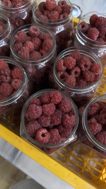 продам шиповник: Малина В розницу, Самовывоз, Бесплатная доставка, Платная доставка