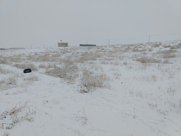 Продажа участков: 750000 соток, Для строительства, Красная книга — 8