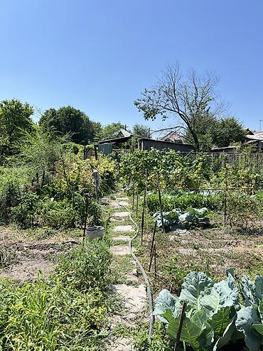 Продажа коттеджей и домов: 🚨Срочно‼️ В продаже дом 📍110 квартал, ул. Базар- Курганская Площадь — 10