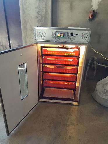 İnkubatorlar: 600 yumurta, Tam avtomat — 1