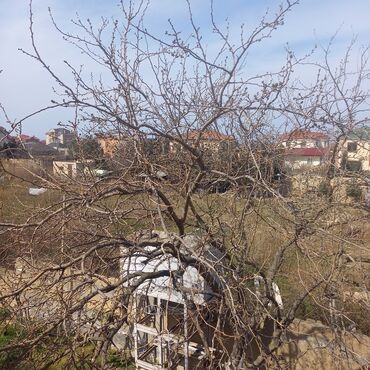 Bağ evlərinin satışı: Bakı, Pirşağı qəs., 456 kv. m, 6 otaqlı, Hovuzsuz, Qaz, İşıq, Kanalizasiya -da lalafo.az — 7 Bağ evlərinin satışı: Bakı, Pirşağı qəs., 456 kv. m, 6 otaqlı, Hovuzsuz, Qaz, İşıq, Kanalizasiya — 7