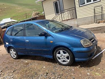 Nissan Tino: 2002 г., 2.2 л, Кол менен иштөөчү, Дизель, Вэн/Минивэн — 5