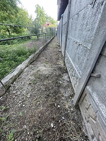 уборка теретории: Уборка территории, Уборка двора и сада, Уход за деревьями, Чистка брусчатки — 9