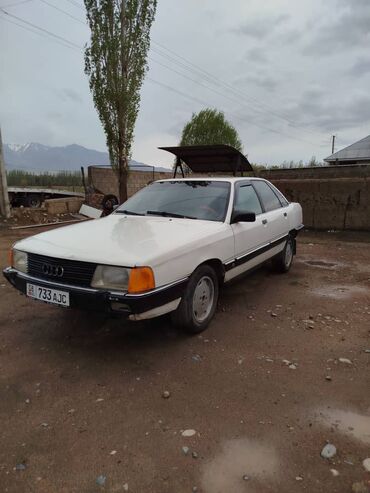 Audi: Audi 100: 1989 г., 1.8 л, Механика, Бензин, Седан
