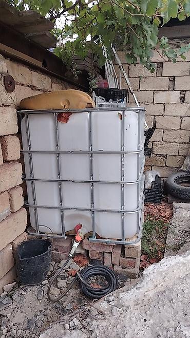 tikinti materialları qiyməti 2024: IBC su çəni (konteyner) – 1000 litr - Material: qalın divarlı plastik — 2