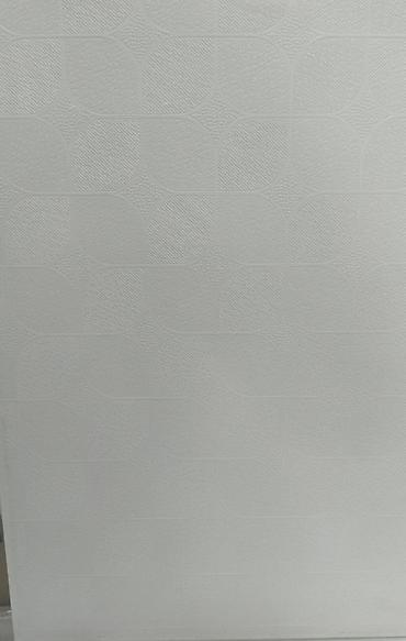 Потолочные работы: Минеральные потолочные панели Armstrong (Bishkek) - Тип: подвесная — 10