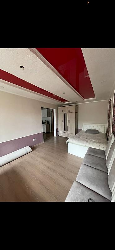 недвиж: 3 комнаты, 57 м², Новопавловка с. Индивидуалка, 1 этаж, Евроремонт — 5