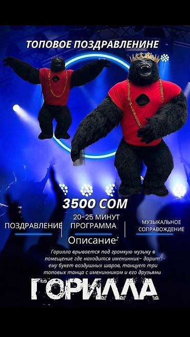 Организация мероприятий: Организация мероприятий | Ведущий, тамада, Аниматоры, Музыканты — 4