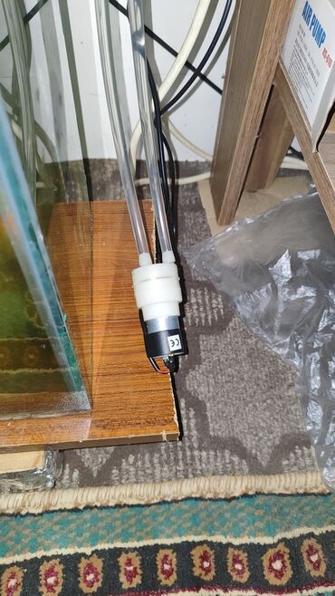 Akvariumlar: Dördbucaq akvarium, Balıqlarla birlikdə, 120 l, Ünvandan götürmə, Ödənişli çatdırılma, Rayonlara çatdırılma -da lalafo.az — 9 Akvariumlar: Dördbucaq akvarium, Balıqlarla birlikdə, 120 l, Ünvandan götürmə, Ödənişli çatdırılma, Rayonlara çatdırılma — 9