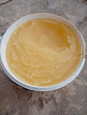 курица халал: ПРОДАМ оптом горный и полевой экспорцетовый мёд, цена договорная. обр — 4