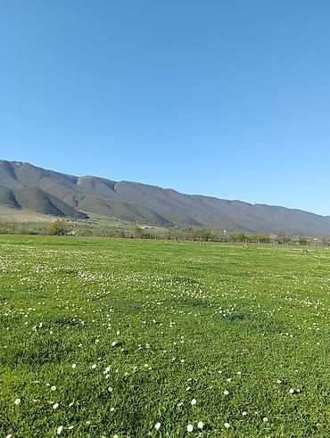 Torpaq sahələrinin satışı: Tikinti — 16