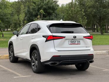 Lexus: Lexus NX: 2018 г., 2 л, Автомат, Бензин, Кроссовер — 10