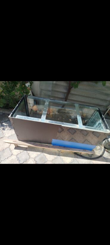 Akvariumlar: Dördbucaq akvarium, Boş, 320 l, Ünvandan götürmə