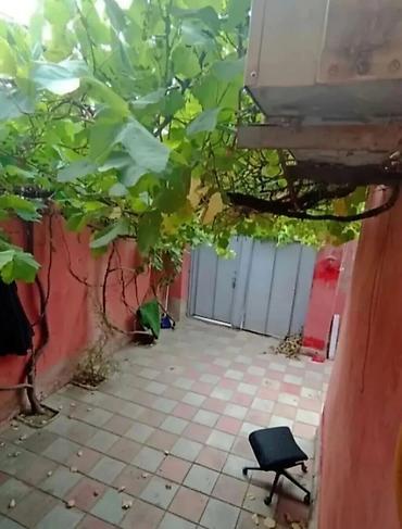 ev alqı: Ətraflı məlumat üçün ona zəng edin -050 986 39 56 Masazır dairəsinə — 7