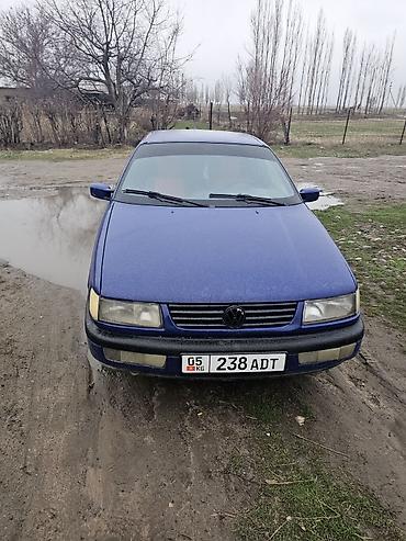 e53 amg: Volkswagen Passat: 1994 г., Механика, Седан — 2