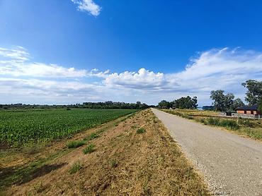 Prodaja zemljišta: Zemljište na Savi pored Šapca, površine 2.7 ha. Trenutno je obradivo — 10