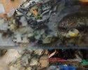 Glave motora: RSZNI DELOVI ZA FORD C-MAX, ESCORT, FESTIVA . OD 1996. DO 2010. GOD — 35