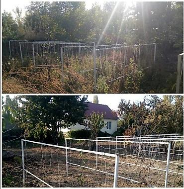копать огород: -Уборка двора сада (огорода). -Услуги озеленения — 10