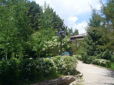 Иссык-Куль 2025: Номер, Солнышко ЦО Солнышко, Чок-Тал — 9