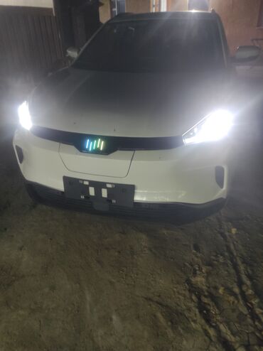 Weltmeister: Weltmeister EX5, 2021 г., Передний, В наличии — 10