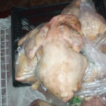 полиэтилен: Домашняя тушка курицы, потрошёная, целая. - Вес тушки: крупная, целая — 1