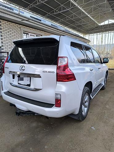 460: Lexus GX: 2010 г., 4.6 л, Автомат, Бензин, Внедорожник — 4