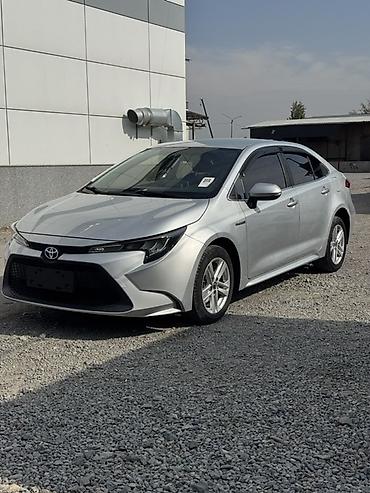 corolla runx: Toyota Levin: 2020 г., 1.8 л, Вариатор, Гибрид, Седан — 1