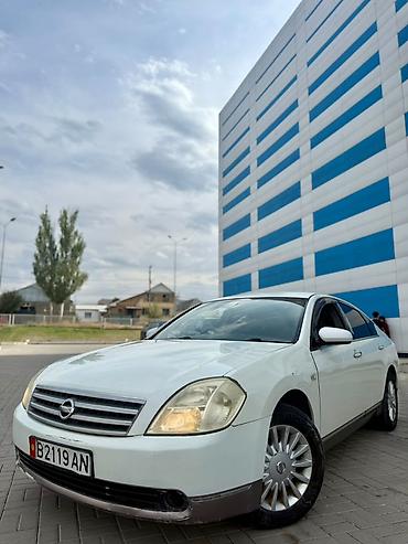 Nissan Teana: 2004 г., 2.3 л, Автомат, Бензин, Седан