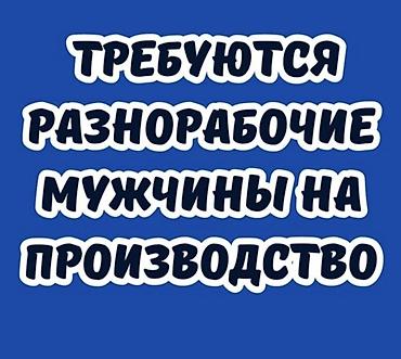 Требуется рабочий в цех по производству полистиролбетоных блоков и на